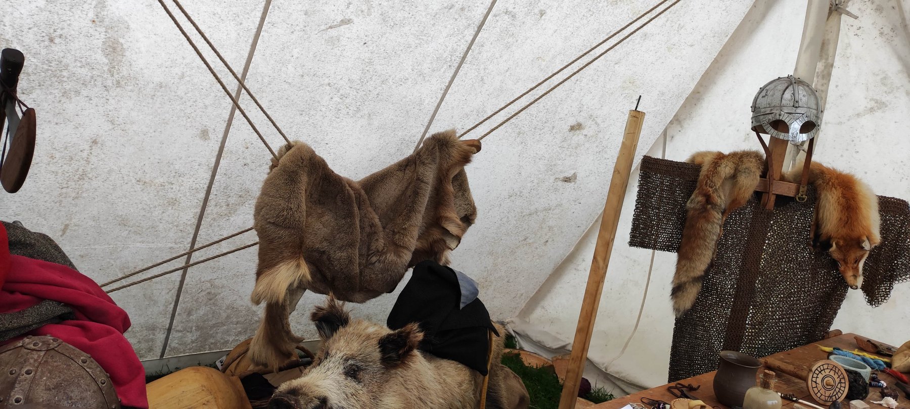 Inside a reenactor's tent: a Viking-style spectacled helmet, mail armour, and furs hanging from the tent poles